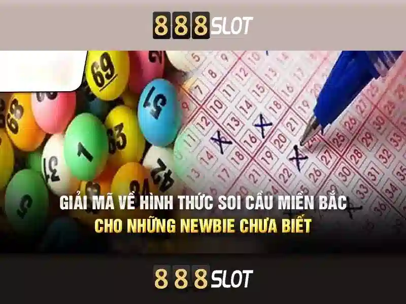 Hỗ trợ khách hàng và tuân thủ