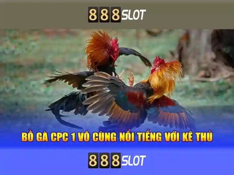 Trải nghiệm người dùng và thanh toán Trải nghiệm người dùng và thanh toán