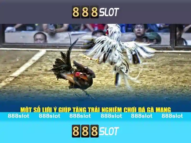 Bull Bull trực tuyến