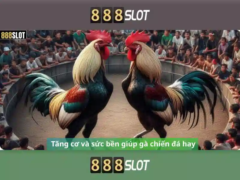 An toàn và thanh toán