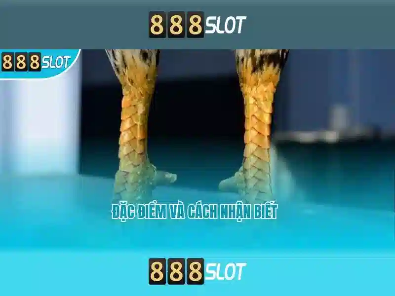 Việt Vị Trong Bóng Đá