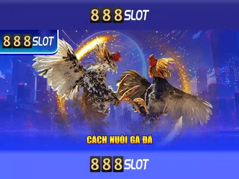 Việt Vị Trong Bóng Đá