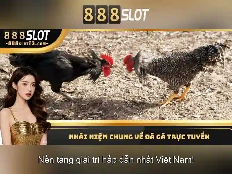 Trải nghiệm trò chơi đa dạng và chất lượng cao