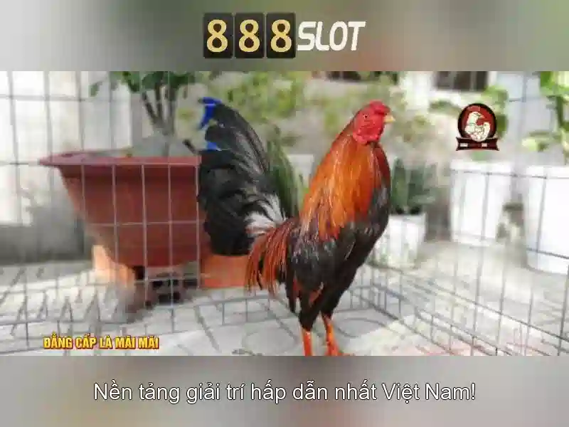 Khám phá 888slot - nền tảng casino trực tuyến hàng đầu