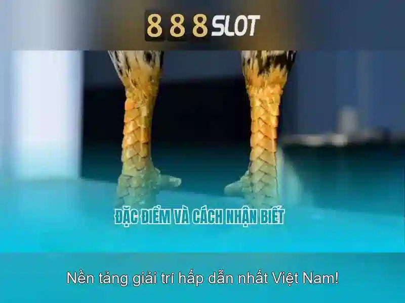 Trải nghiệm chơi slot tại 888slot