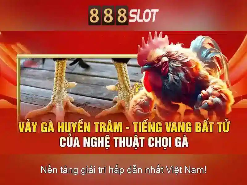 An toàn thanh toán và hỗ trợ khách hàng