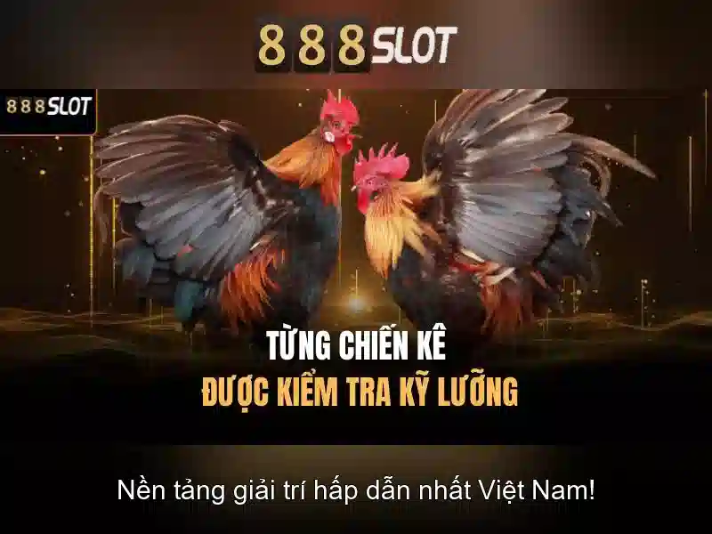 Khuyến mãi và thưởng