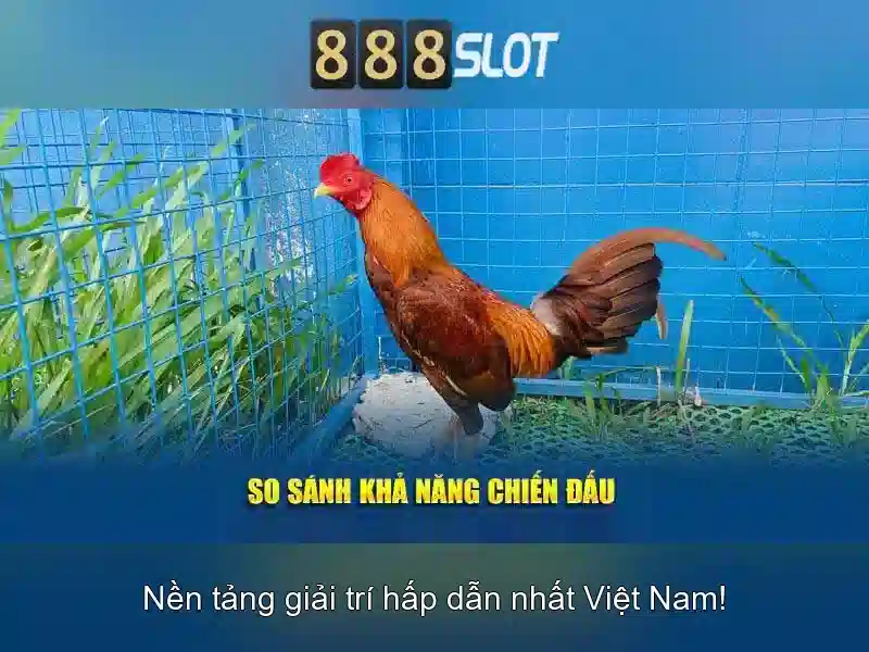 Việt Vị Trong Bóng Đá